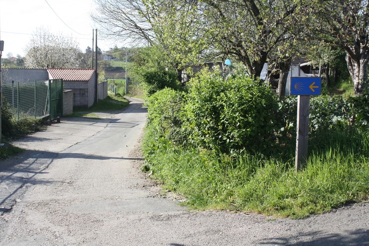 Lalín