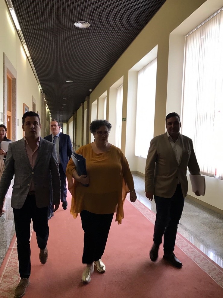 A valedora do Pobo, Milagros Otero, á súa chegada no Parlamento / Europa Press
