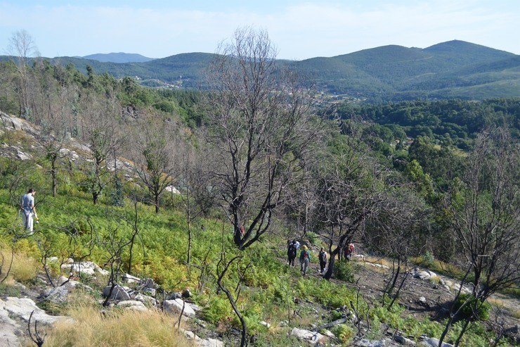 Montes Veciñais en Man Común de Rebordelo 