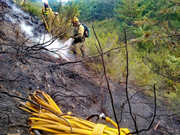 Bosque queimado en Ou Invernadoiro / Europa Press