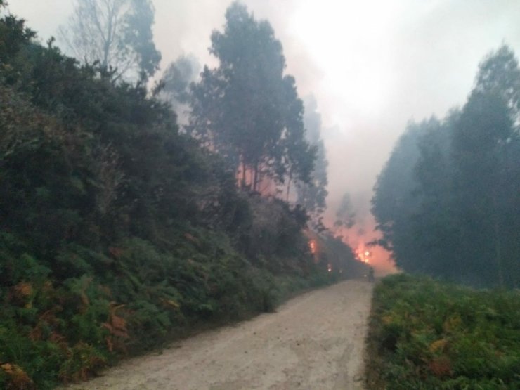 Incendio en Ares/UGTForestaisGalicia