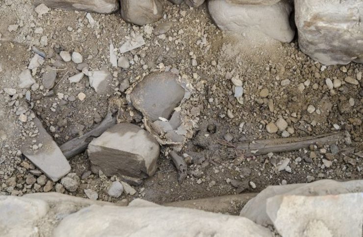 Ósos e outros restos óseos atopados na escavación do castro de San Lourenzo / XdL