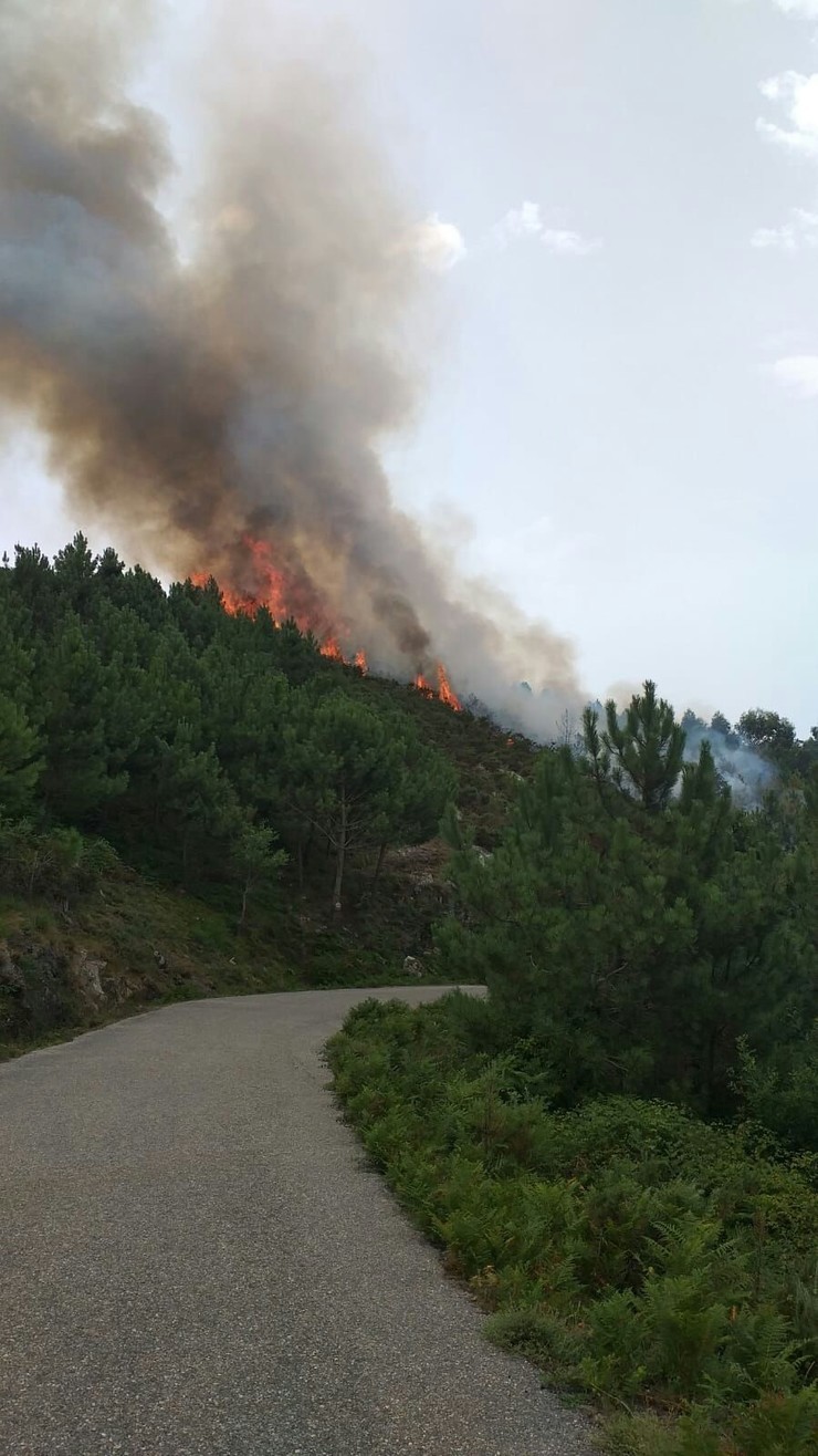 Extinguido o incendio forestal en Oia. CEDIDA