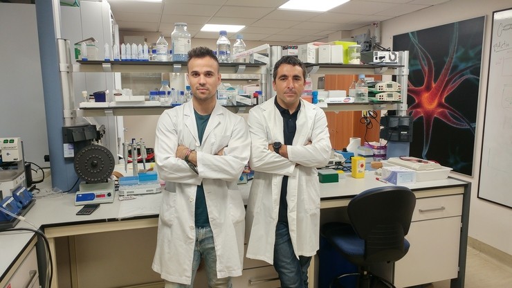 Científicos galegos avanzan no tratamento contra o ictus 