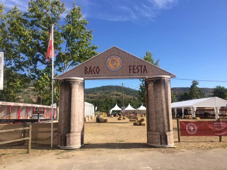 Recinto Bacofesta 2017. Fonte: Concello da Rúa