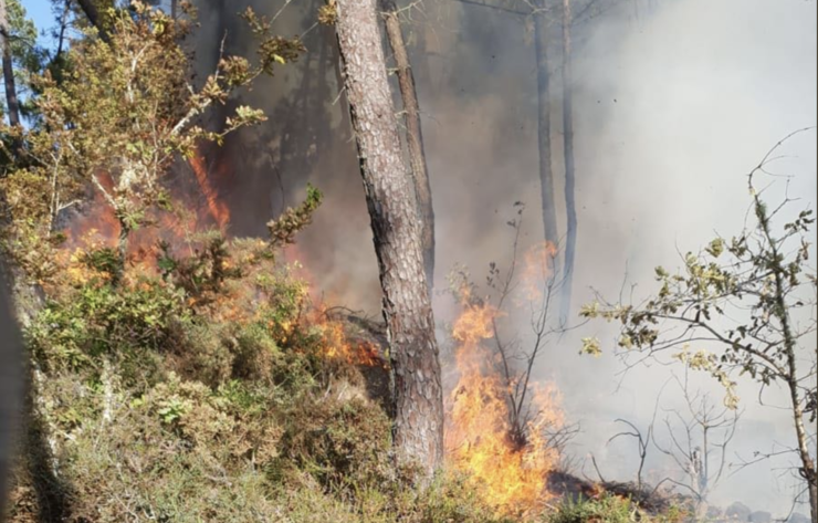 Inicio dun incendio forestal en Cartelle.