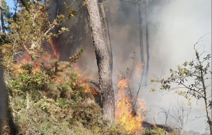 Inicio dun incendio forestal