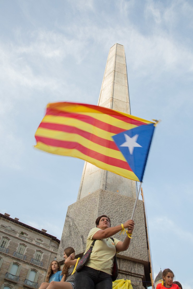 Participantes na Diada cunha bandeira 