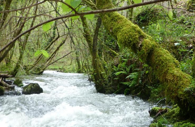 Río Mendo / Wikiloc.