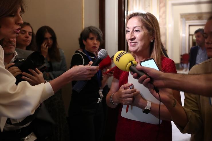 O vicepresidente terceira do Congreso dos Deputados, Ana Pastor, ofrece declaracións aos medios de comunicación antes da reunión da Mesa do Congreso.. Eduardo Parra - Europa Press 