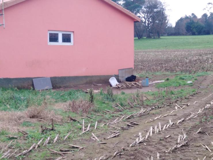 Animalistas denuncian ante a Xunta o caso dun can encadeado en Trazo (A Coruña). LIBERA! 