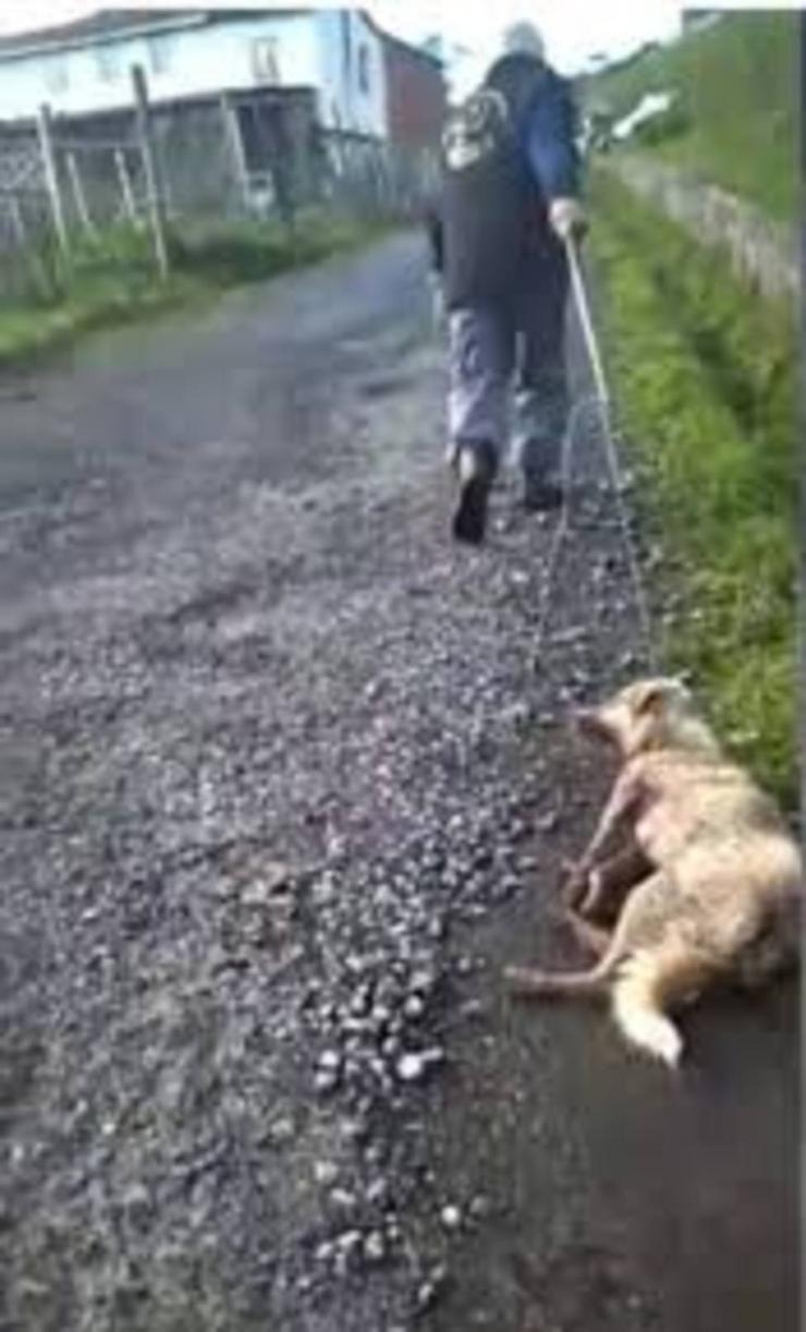 Un home arrastra a súa cadela tras dispararlle en Chantada / Youtube