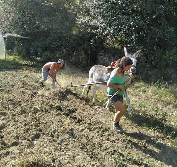Traballando a terra en Tanquián dentro do proxecto ecolóxico Tuta Fruta 