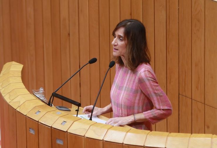 A conselleira de Educación, Carmen Pomar, no pleno do Parlamento. XUNTA