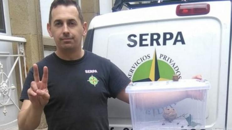 José María Vázquez patentou un método para cazar velutinas que triunfa en España / XdM