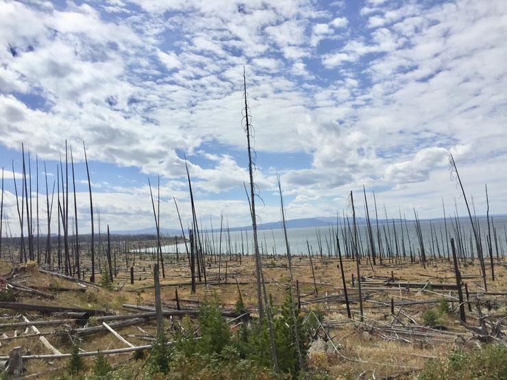 Eficaz extinción de incendios no Parque Nacional Yellowstone