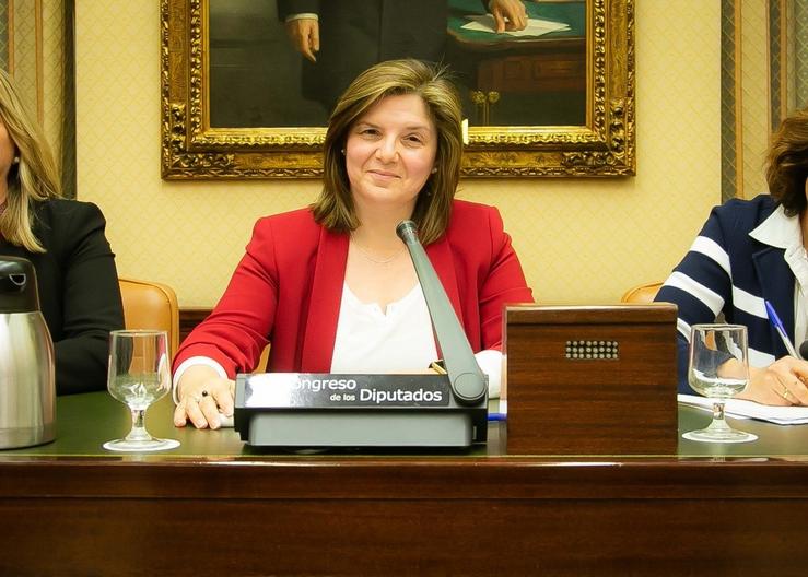 Pilar Cancela, na comisión do pacto contra a violencia machista. CONGRESO - Arquivo