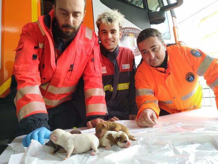 Protección Civil cos cachorros rescatados. LIBERA 