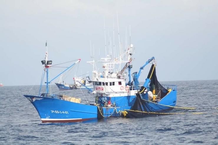 Pesca de sardiña no golfo de Biscaia 