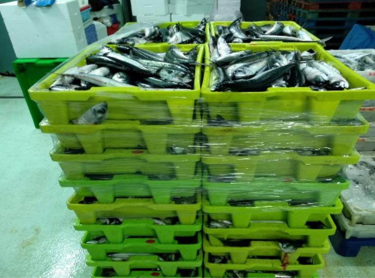Pesca.- Intervidos na Coruña 4.990 quilos de caballa sen a etiquetaxe que garanta a súa rastrexabilidade. GARDA CIVIL 