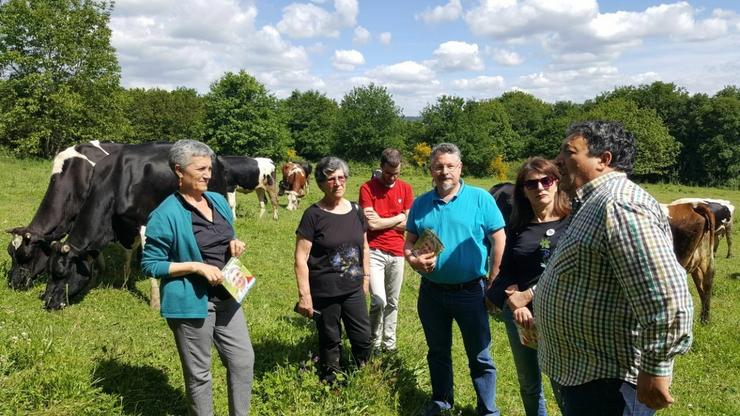 26M.- Lídia Senra (En Marea) Pide Unha "Transición" Agraria Na UE Que Camiñe Cara a Empregos Con Base Na Agroecología. EN MAREA / Europa Press