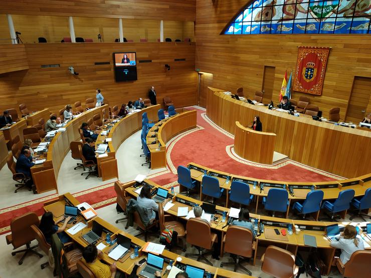 Pleno.-. PEDRO DAVILA-EUROPA PRESS 
