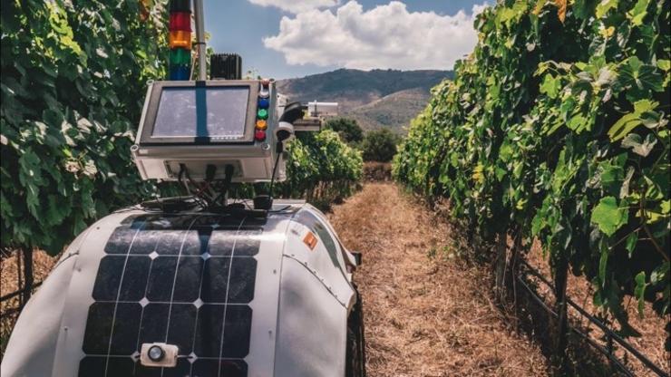 Tecnoloxías en viticultura.. CETAL
