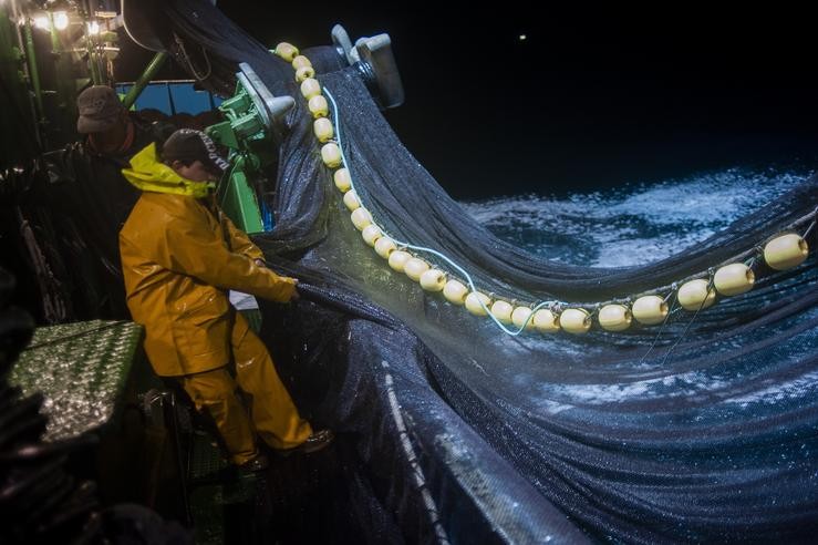 Tempada da pesca da anchoa no Cantábrico / H.Bilbao - Europa Press.