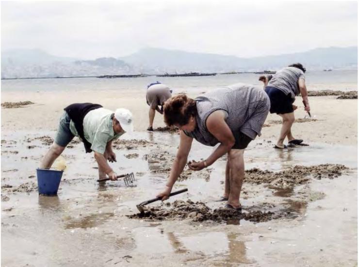 Mariscadoras anciñando a area | Moaña Cedida polo Museo do Mar de Galicia e e Asociación de Mariscadoras de Moaña