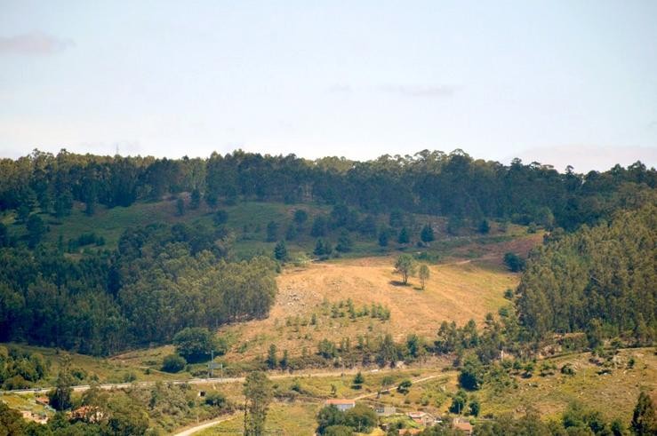 Vista da corta no Monte Pornedo, en Marín, na zona de Fontenla e do rego das Presas 