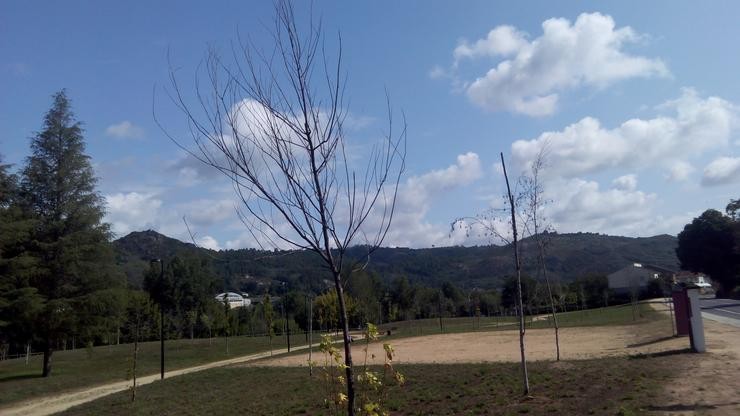 Imaxe do parque 25 de novembro de Reza, Ourense 