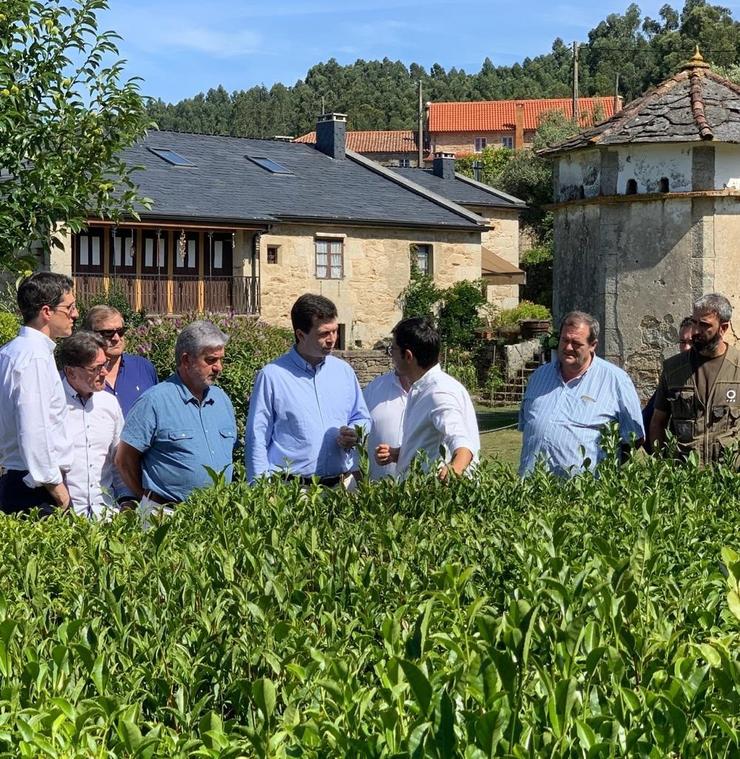 O secretario xeral do PSdeG,Gonzalo Caballero, visita unha explotación ecolóxica. PSDEG-PSOE 