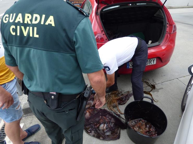 A Garda Civil incáutase de 27,8 quilos de polbo na Coruña. GARDA CIVIL 