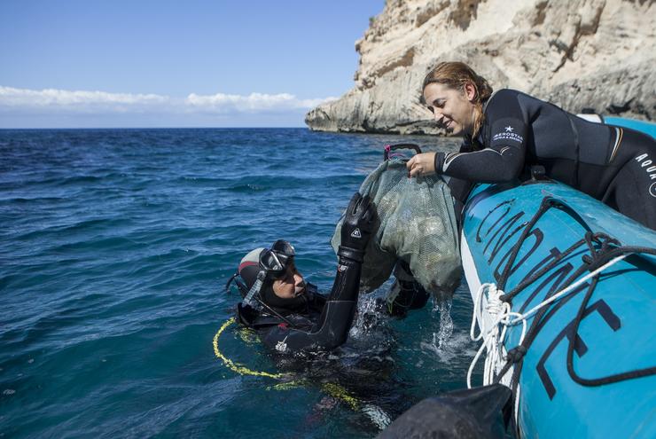 O Proxecto 1m2 polas praias e os mares para recoller e analizar a basuraleza das costas.. SEO
