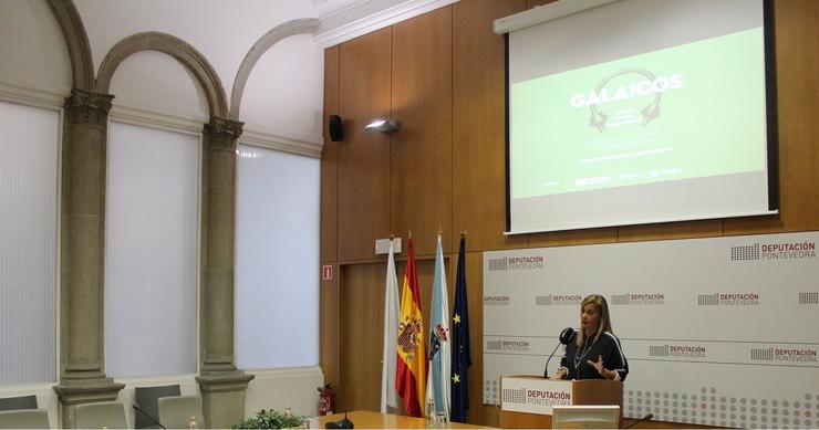 Presentación da mostra Galaicos no Museo De Pontevedra.. DEPUTACIÓN DE PONTEVEDRA 