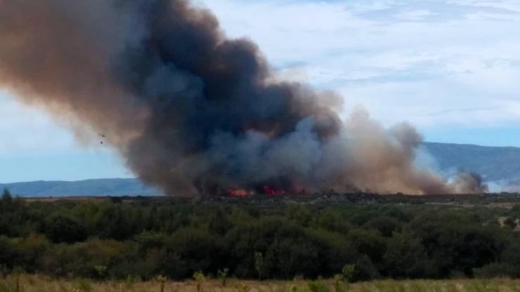 Incendio forestal en Oímbra  / @BrifLaza en Twitter.