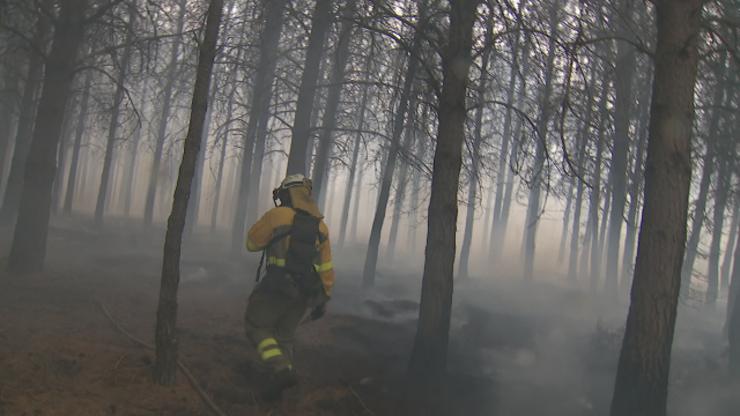Incendio forestal en Oímbra / TVG.