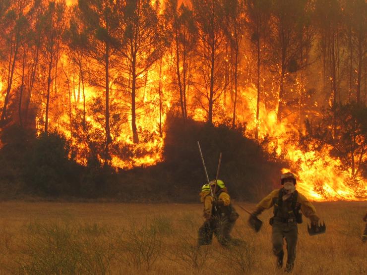 Unha Brigada de Loita contra Incendios Forestais do MITECO loita contra un incendio forestal.. MITECO - Arquivo 