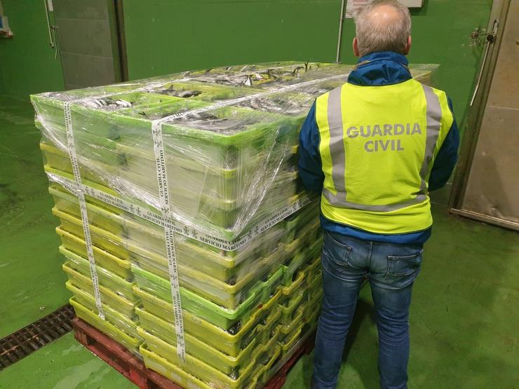 Case dúas toneladas de sardiñas incautadas pola Garda Civil no porto de Portosín, en Porto do Son (A Coruña).. GARDA CIVIL. / Europa Press