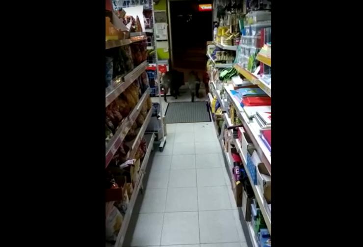 Dous xabaríns no interior dun supermercado de Burela/RRSS