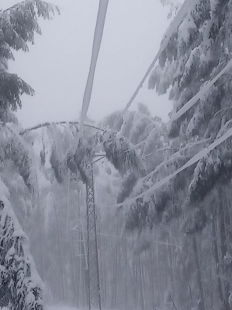 Poste eléctrico durante as nevadas da provincia de Lugo 