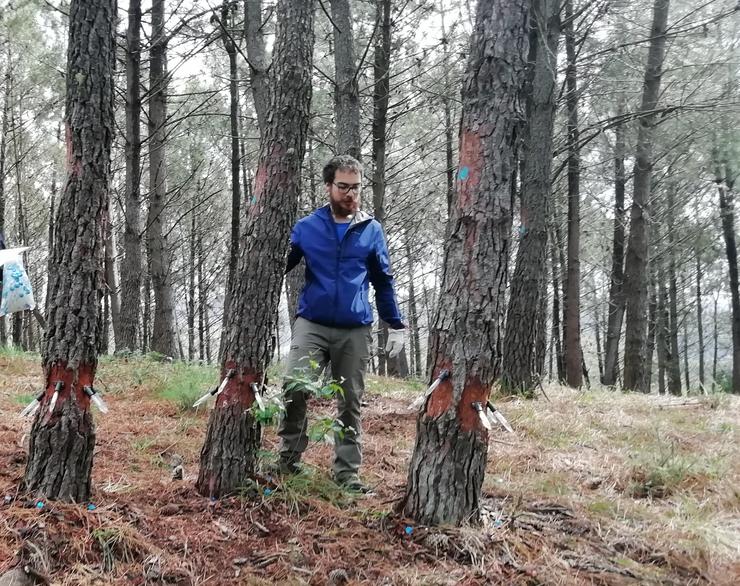 [Grupovigo] Nota De Prensa Do Csic Galicia. CSIC / Europa Press