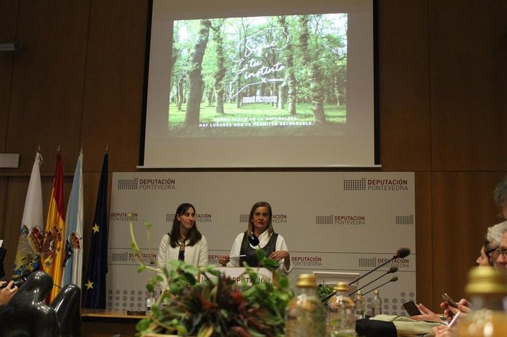 A presidenta da Deputación de Pontevedra durante a presentación da campaña desta institución para Fitur 2020. DEPUTACIÓN DE PONTEVEDRA 