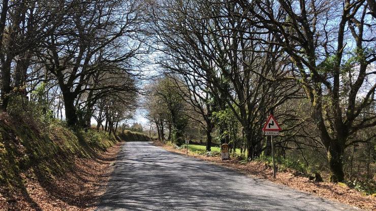 A estrada LU-231, rodeada de árbores autóctonas / Apatrigal