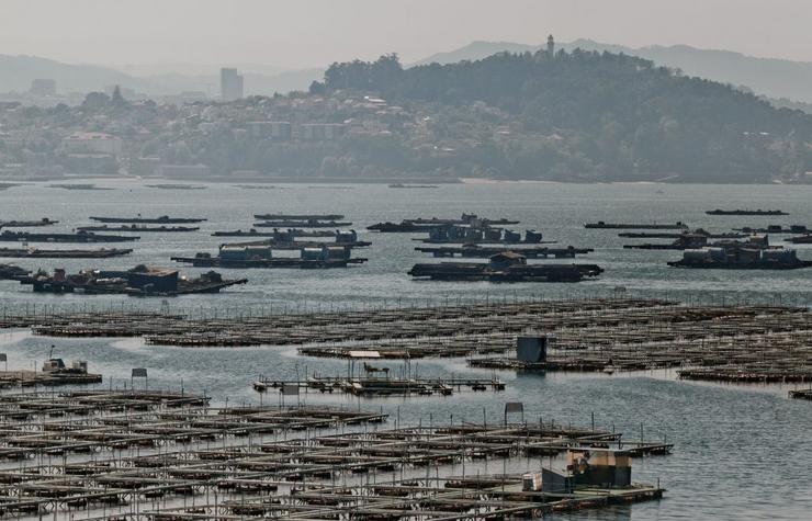 Bateas na ría de Vigo / © Miguel Núñez.