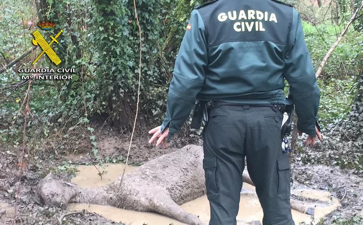 Un efectivo da Garda Civil xunto a un cabalo atopado no monte. GARDA CIVIL