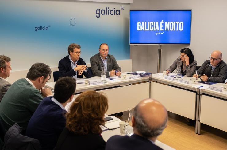 O presidente do PP de Galicia, Alberto Núñez Feijóo, preside o Comité de Dirección do partido 