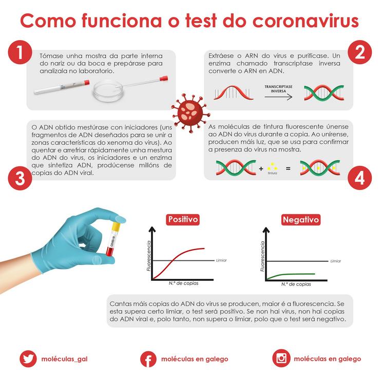 Infografía que explica como funciona o test do coronavirus 