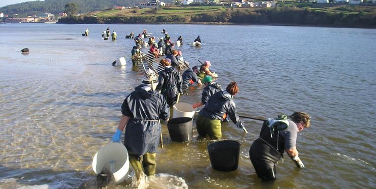 Mariscadoras. MINISTERIO DE AGRICULTURA - Arquivo