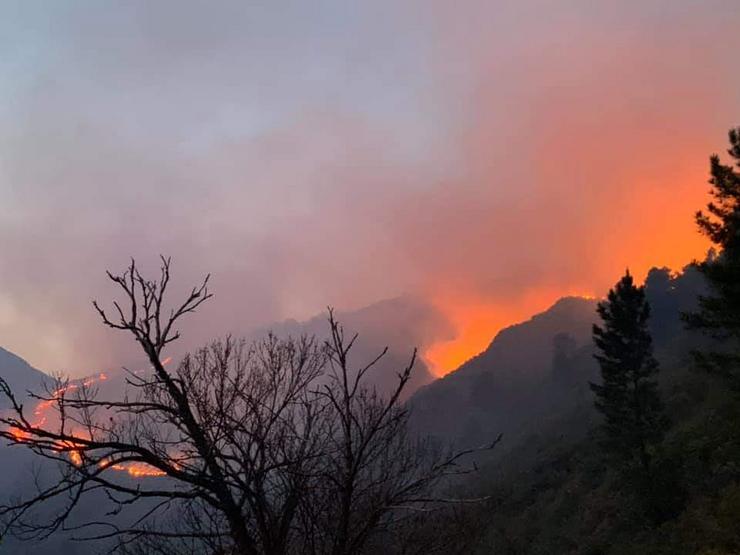 Incendio en San Vicente de Leira /remitida